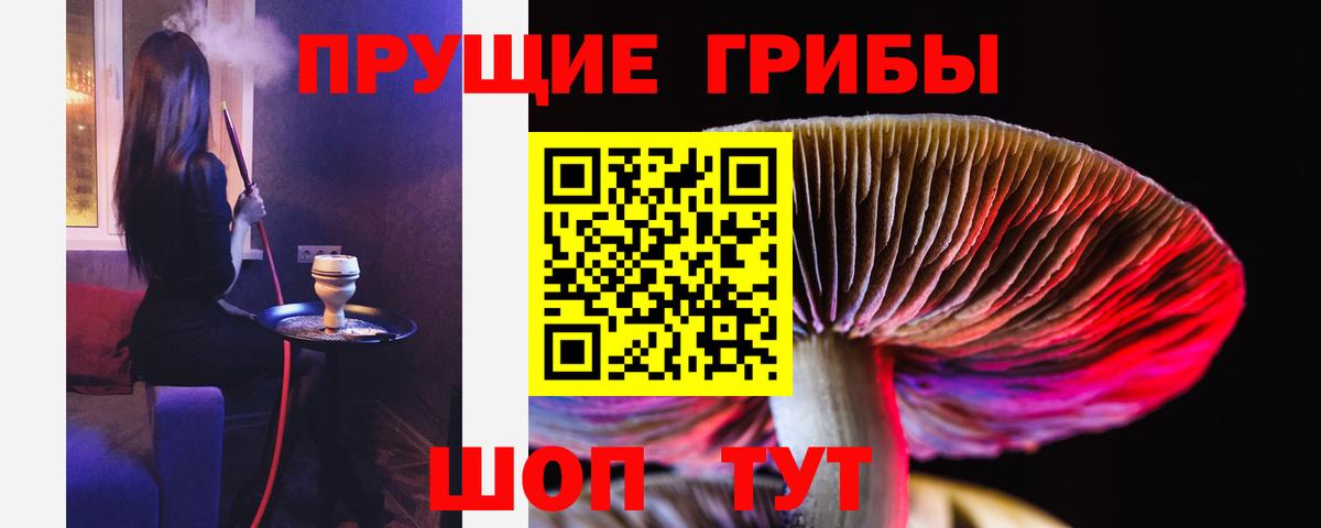 Псилоцибиновые грибы мицелий Долгопрудный