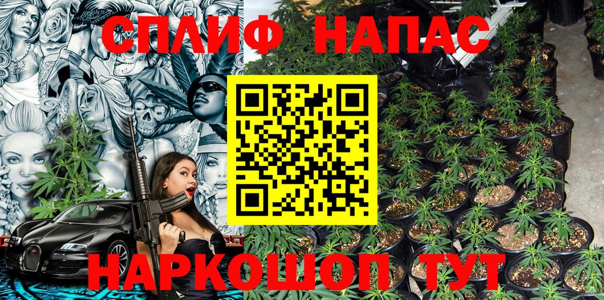 Каннабис SATIVA & INDICA  Бошки Шишки конопля  Долгопрудный  Вход с VPN  МАРИХУАНА MAZAR  Бошки Шишки индика 